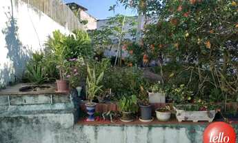 Imagem 4: São Paulo - Casa Padrão - São Lucas