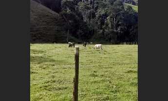 Imagem 4: Chácara com quatro quartos à venda, 435600 m² por R$ 1.300.000 - Romanópolis - Silva Jardi