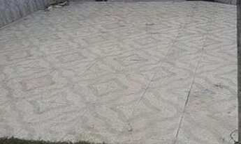 Imagem 6: Alugo casa 2/4 390,00