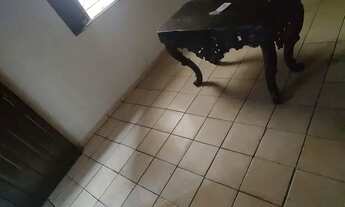 Imagem 4: Alugo próximo a campinas incluso tudo e wifi