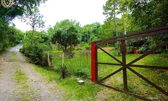Imagem: FLORIANOPOLIS - Casa Padrão - Campeche