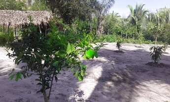 Imagem 3: Vendo Terreno 30X50 Região da cacimba velh