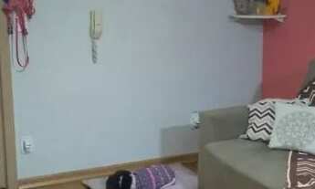 Imagem 5: Ótimo apartamento no Alto Petrópolis