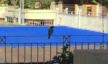 Imagem: Casa triplex, com 3 quartos suítes à venda