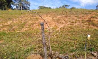 Imagem 4: Lote/Terreno para venda com 200 metros quadrados em Nova Divinolândia