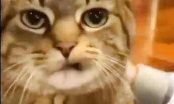 Imagem: DIVIDIR ALUGUEL COM UMA MULHER