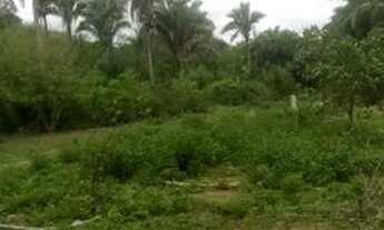 Imagem 2: Terreno mart zona rural