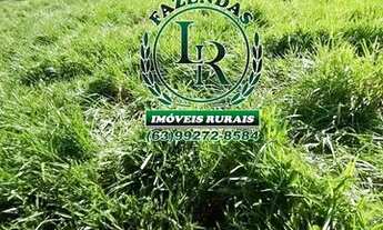 Imagem 7: Chácara 2,5 Alqueires