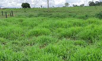 Imagem 6: Fazenda 52 alqueires em Uruaçu Goiás