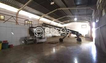 Imagem 5: Galpão para aluguel, Chácaras Tubalina e Quartel - Uberlândia/MG