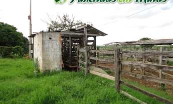 Imagem 3: Fazenda para pecuária de corte e leite, perto de Montes Claros