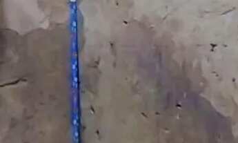 Imagem 5: Vendo casa na rua 13 de maio bairro Pau Da Lima *80