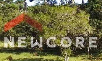 Imagem 4: Chácara em Estrada geral - Contendas - São Francisco de Paula/RS