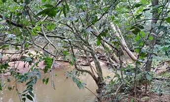 Imagem 2: Chácara - Senador Canedo