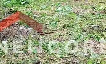 Imagem 7: Lote em Rua Boa Vista - Barra Velha - Ilhabela/SP