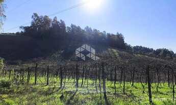Imagem 5: Venda Imperdível: Terreno Rural de 2,4 Hectares!