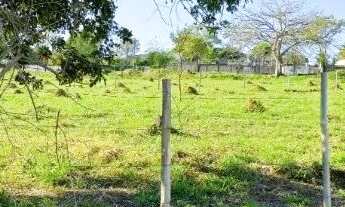 Imagem 7: Oportunidade Terreno de 982 m2 próximo Hotel Mazzaropi