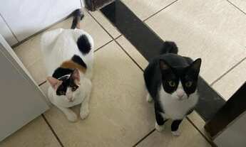 Imagem 4: Quarto disponível - Jan/26 (Apenas mulheres