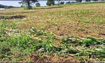 Imagem 5: Área Conjunto Habitacional Jardim Sabiá 96800M²