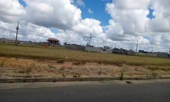 Imagem 6: Loteamento Cidade Jardim