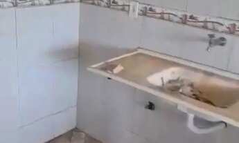 Imagem 4: Apartamento reformado Casa de Rua com 2 Quarto(s) e 1 banheiro(s) à Venda, 250 por R$ 125