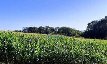 Imagem 12: Sítio à venda, 121000 m² por R$ 1.750.000,00 - Centro - Toledo/PR