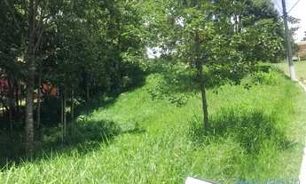 Imagem 6: AREA - JARDIM DOS PINHEIROS - SP