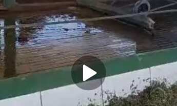 Imagem 2: Vendo uma fazenda em pentecoste