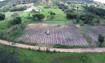 Imagem 5: Vendo Sitio com 7,5 Tarefas sem Casa, na Colônia 13 Lagarto-Se