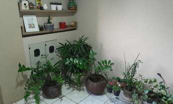 Imagem 5: Oportunidade no Cocó liga 9 87 48 31 08 Diego9989f liverpool