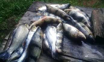 Imagem 5: Janauaca Manaquiri