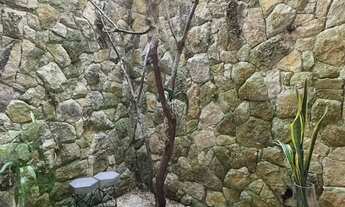 Imagem 7: Casa Para Locação Jardim Paulista, 3 Quartos, 2 Suítes, 160m²