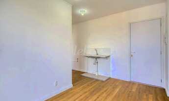 Imagem 2: Apartamento 2 quartos para alugar no(a) Vila Guilhermina