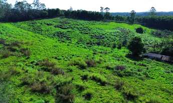 Imagem 6: 2 terrenos á venda com 100.000m² e acesso a represa em Taiaçupeba