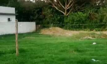 Imagem: Terreno Ideal para Seu Projeto em Gravataí