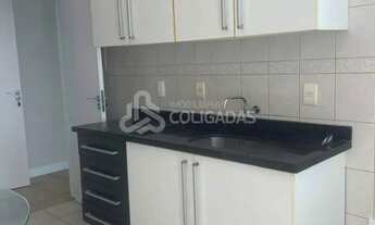 Imagem 5: ALUGUEL ANUAL! Apartamento com 3 dormitórios