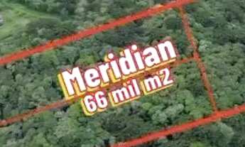 Imagem 2: Terrenos Urbanos Campo Largo ideal para condomínio ou investimento!