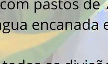 Imagem: Arrendo fazenda para 2 mil bezerros