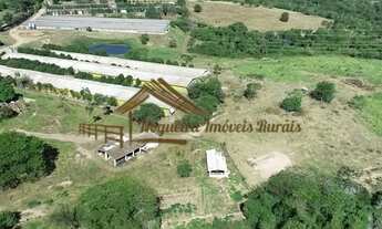 Imagem 2: Sitio com granjas, 200 mil aves