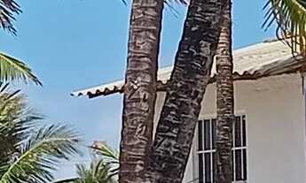 Imagem 7: Enseada dos corais