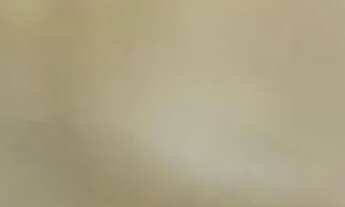 Imagem 3: Apartamento para Locação em Vespasiano, São Damião, 2 dormitórios, 1 banheiro, 1 vaga