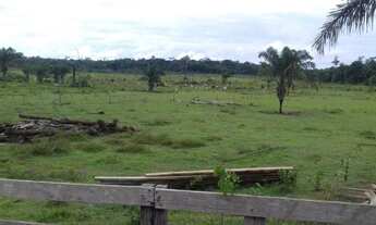 Imagem: Faznda no baliza roraima