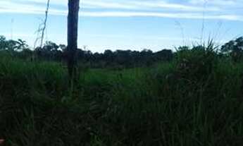 Imagem 3: Inperdivel fazenda em roraima