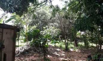 Imagem 4: Casa para Venda em Regente Feijó, Centro