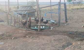 Imagem 4: AREADO (SãO GABRIEL DO OESTE) - Sítio - Areado