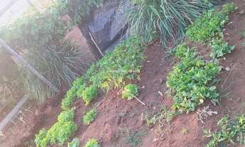 Imagem 6: AREADO (SãO GABRIEL DO OESTE) - Sítio - Areado