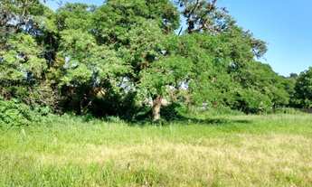 Imagem 5: Terreno à venda, 6574 m² por R$ 2.900.000,00 - Vila Nova - Porto Alegre/RS