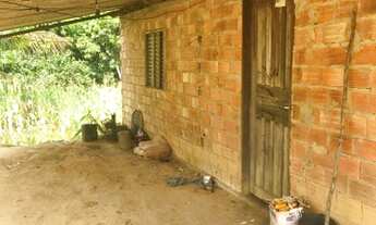 Imagem 2: Terra em Colinas do Sul Go