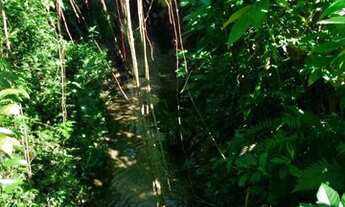 Imagem 7: Terreno à venda, 6574 m² por R$ 2.900.000,00 - Vila Nova - Porto Alegre/RS