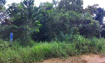 Imagem 5: TERRENO IRANDUBA KM 13 10X74 à 100m DA ESTRADA